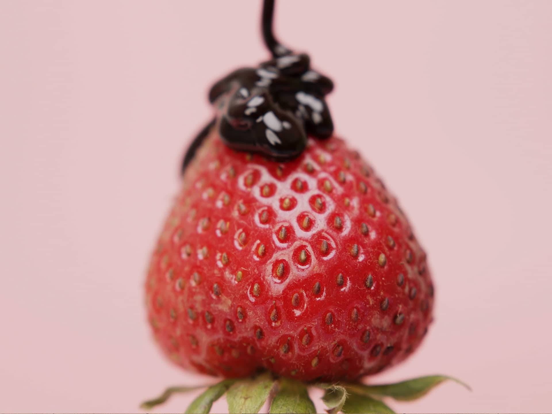 Banner_SecretBerry_Workshops