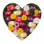The Fruits - Herz Box